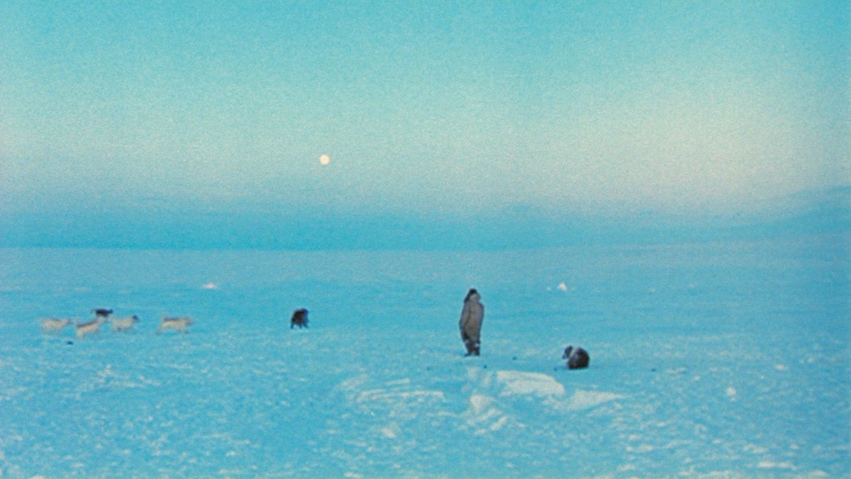 Museum of the Moving Image tweet media