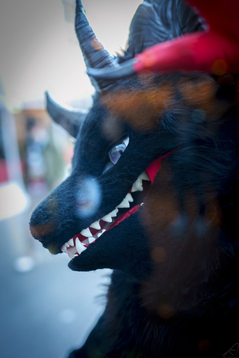 青狐(あおこ)▶ハレの国 tweet media