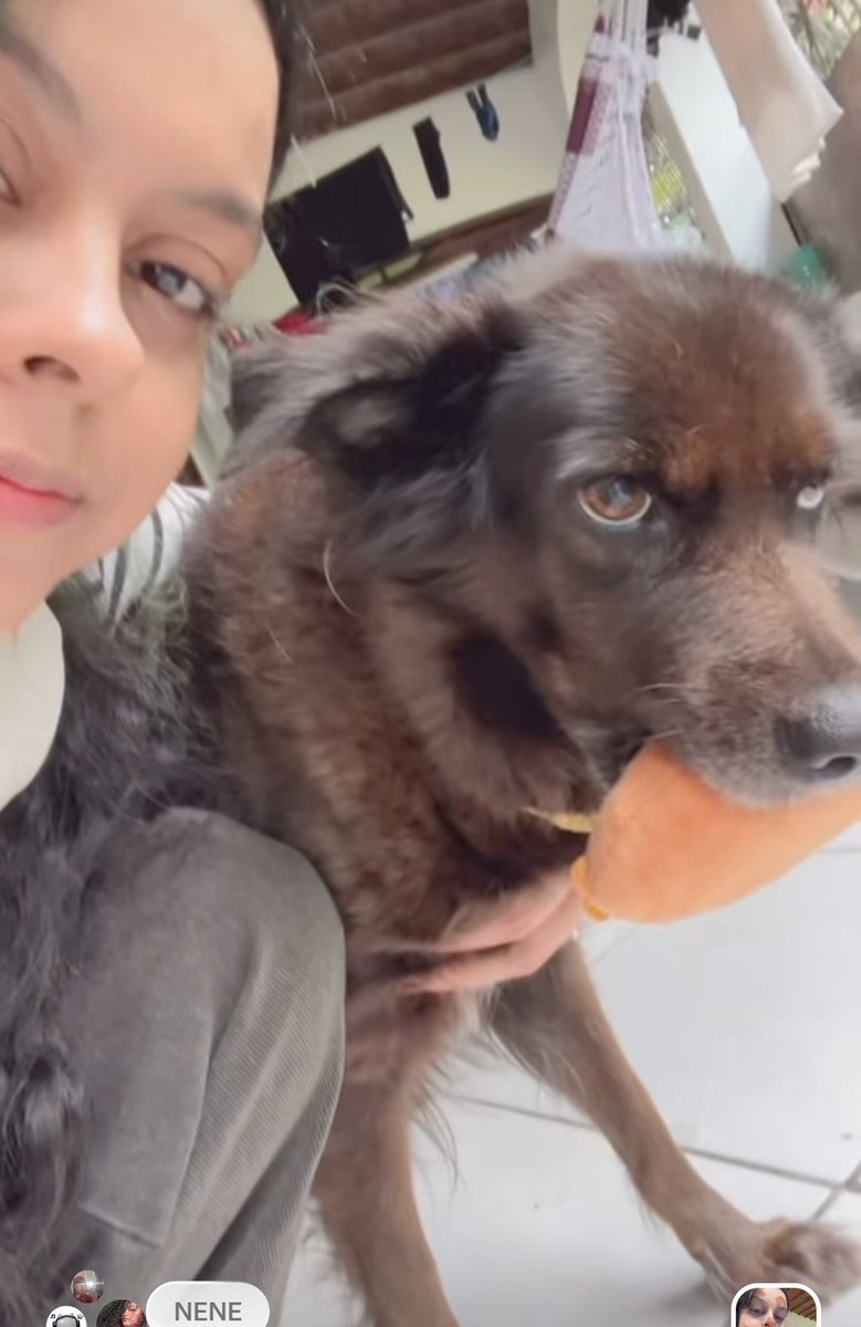 chuuke7's tweet image. #FOTO | Atualização da Felipa em seu Instagram — Story.

#FELIPA #펠리파