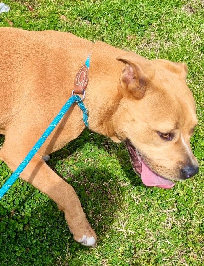 Donna Lac tweet media