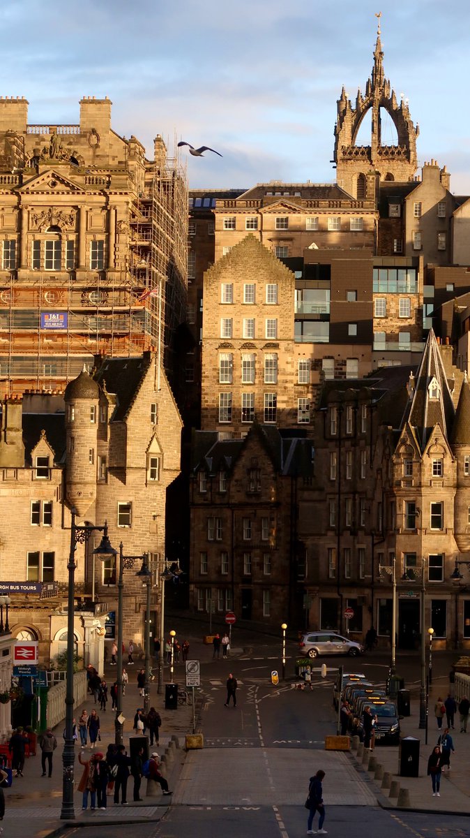 𝙥𝙞𝙫. tweet media