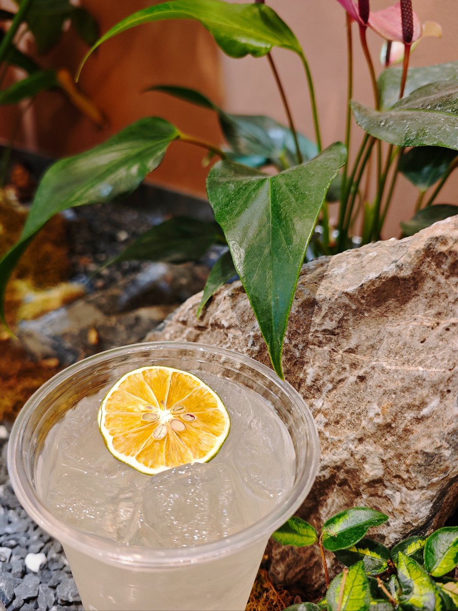 clinston tweet media