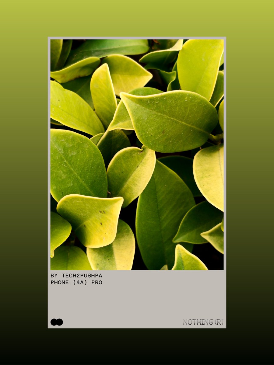 Pushpendra Kumar tweet media