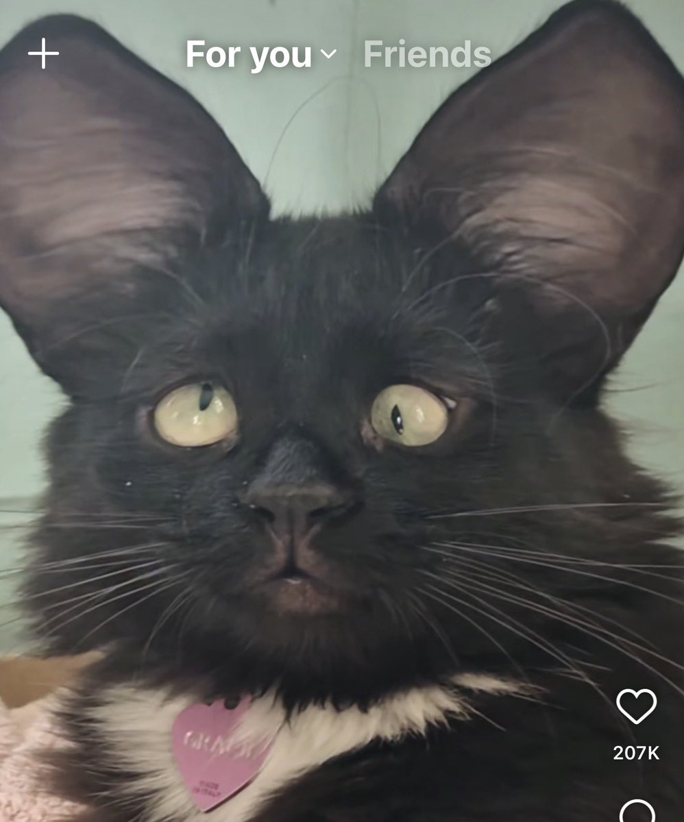 International Cyber Digest tweet media