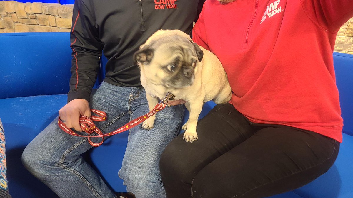 CW Lexington tweet media