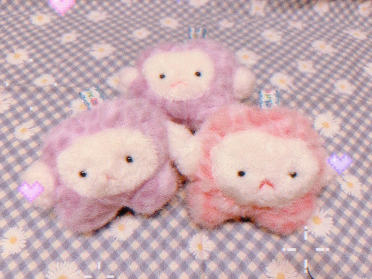 さくらや もも tweet media