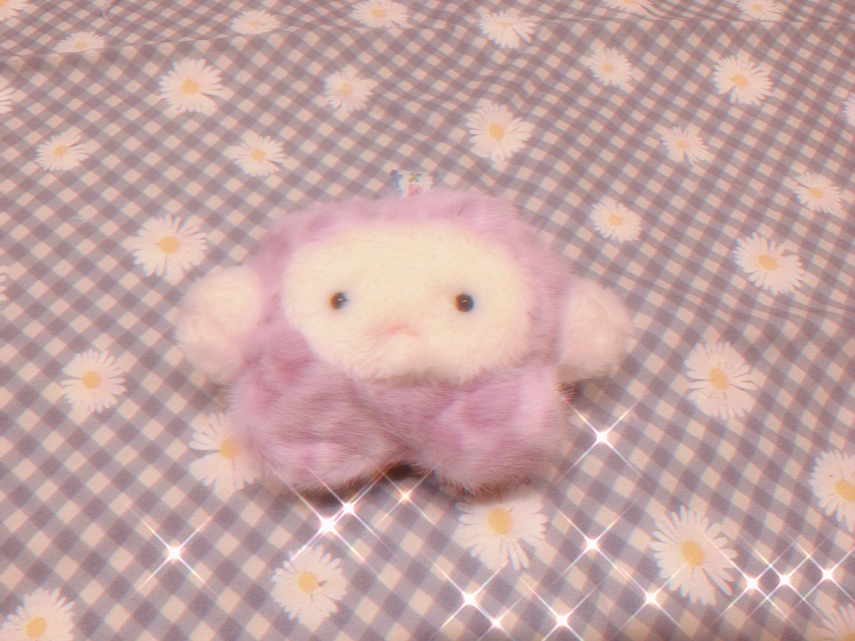 さくらや もも tweet media