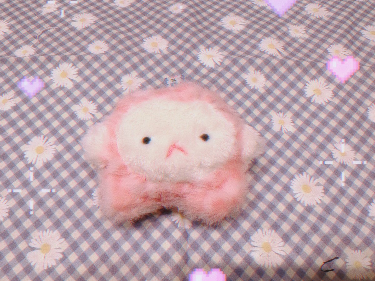 さくらや もも tweet media