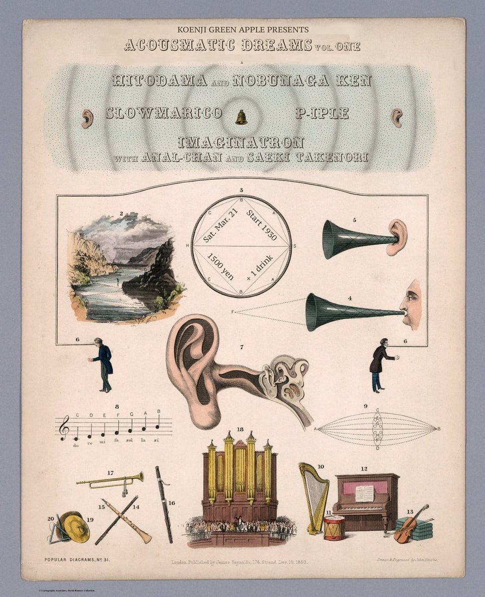 佐伯武昇 tweet media