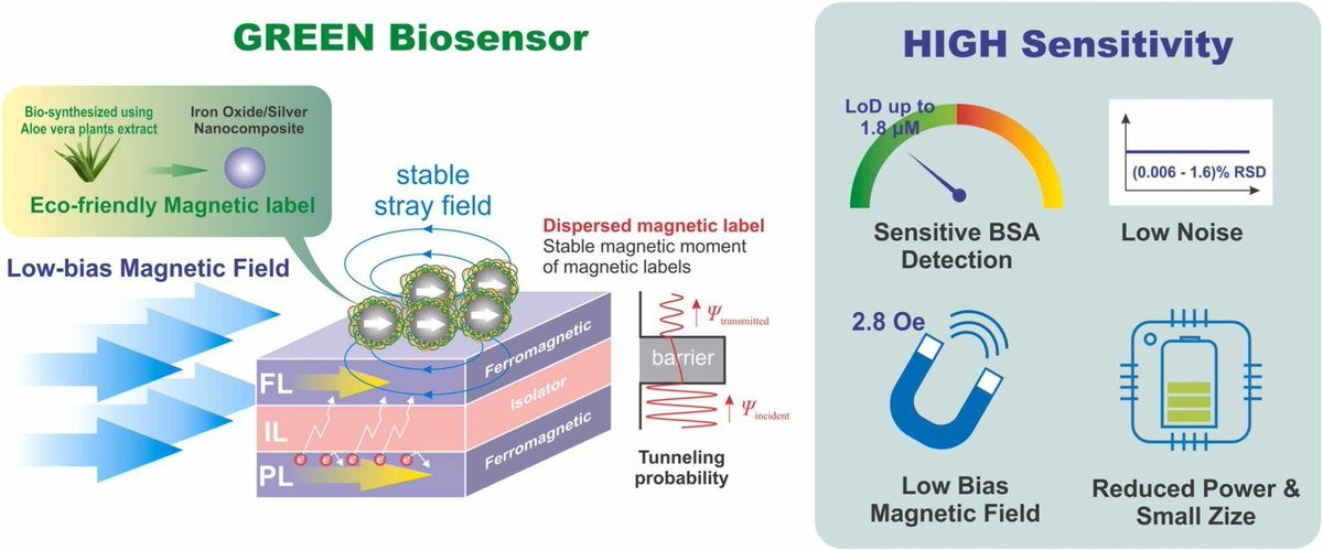 NveCorporation's tweet image. A new independent paper describes a high sensitivity, low noise biosensor using an NVE #spintronic Tunneling Magnetoresistance sensor. sciencedirect.com/science/articl…