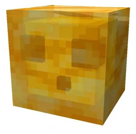 📝FannyExplorer|360🗺️ tweet media