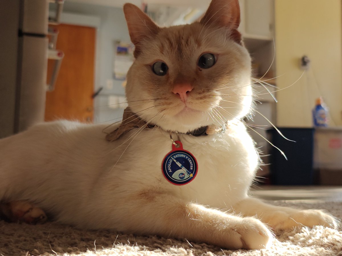 Verybatidea tweet media