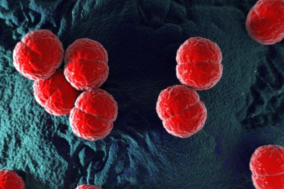 - Le Direct Info 🔴 tweet media