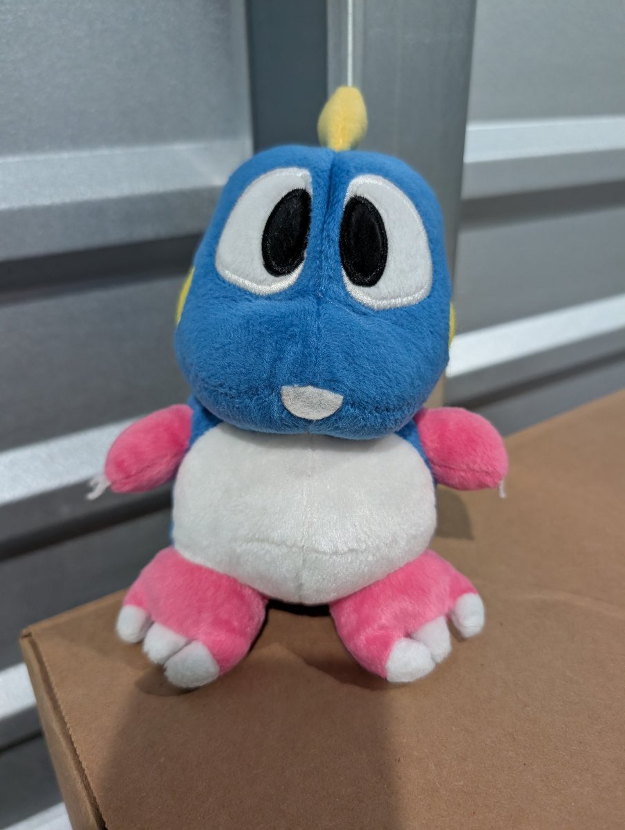 Inu's Collector Archive tweet media