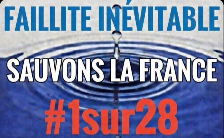 Alfred🇨🇵 tweet media