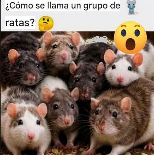 PensamientosX tweet media