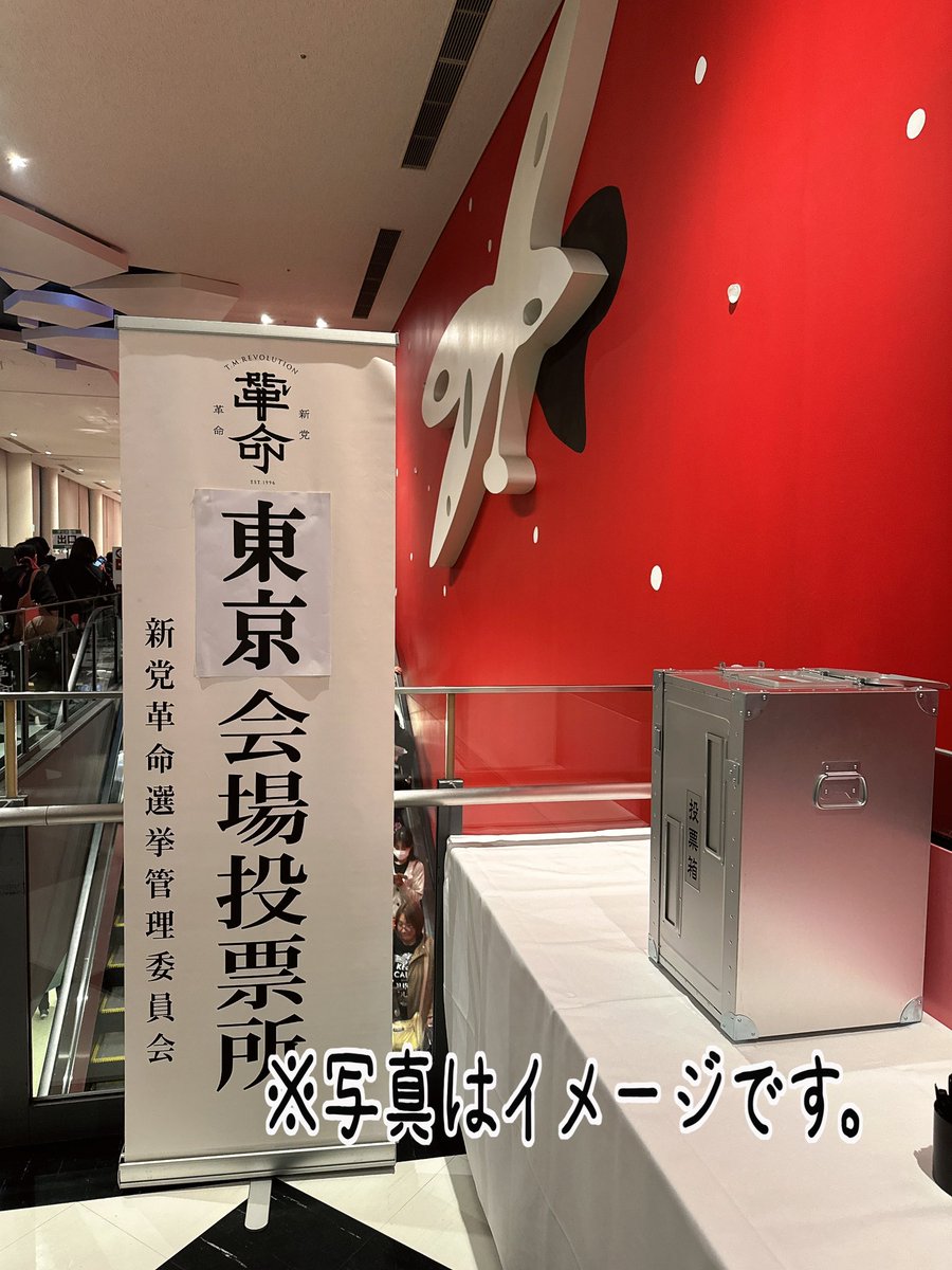 せここ🌸🌷🐝 tweet media