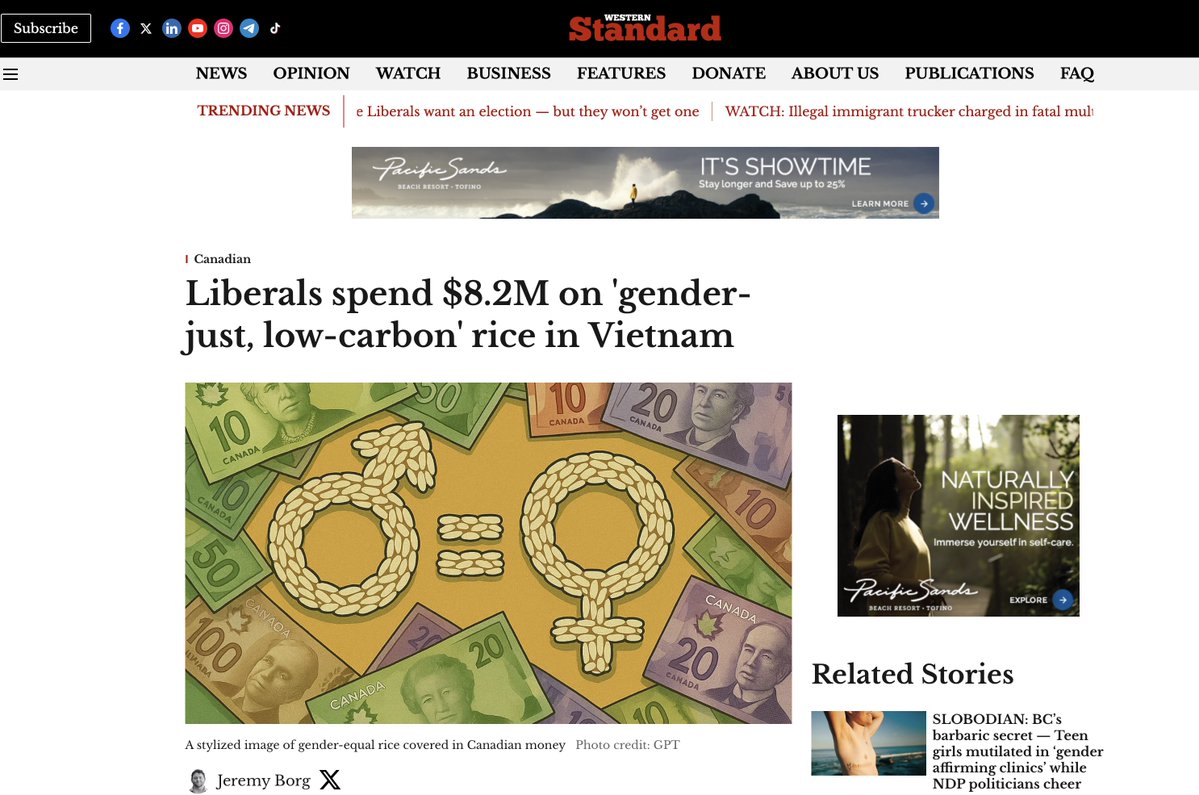 Pete Sim tweet media