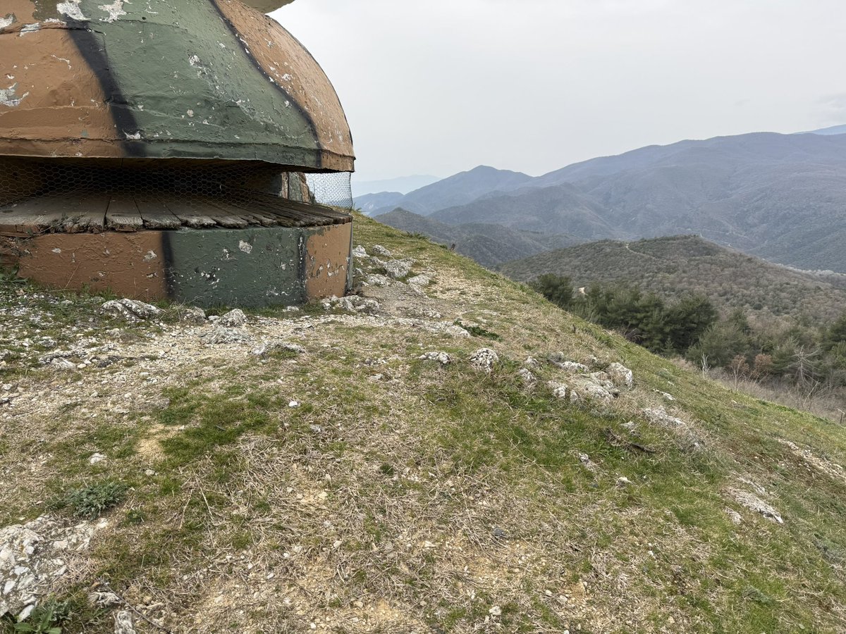 Stephen Chambers tweet media