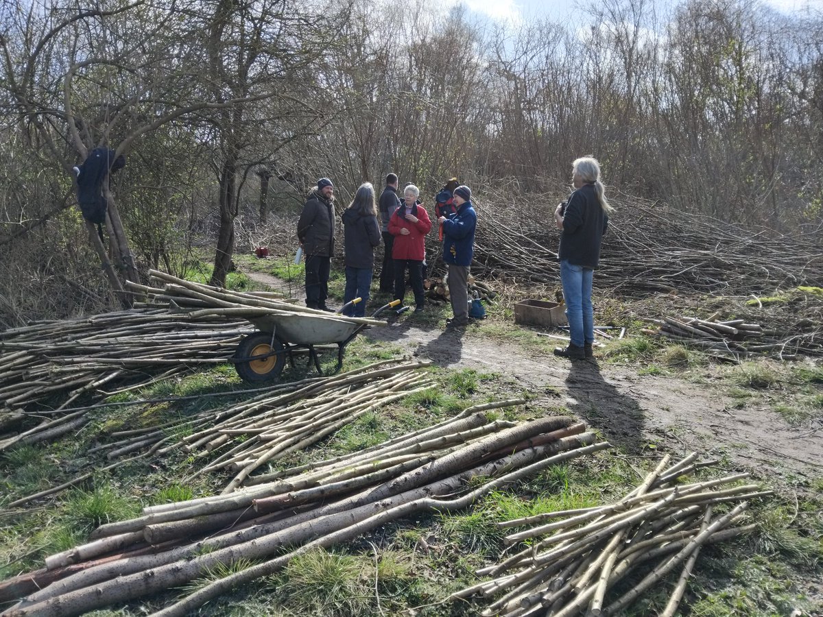 Greenways Project tweet media