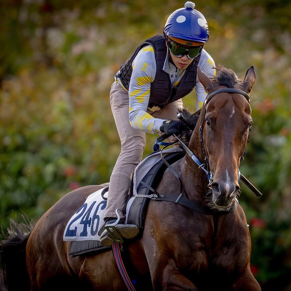 Hong Kong Racing tweet media