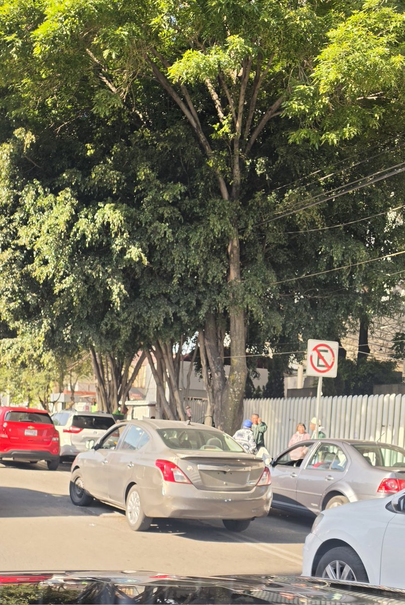 Mr. Bernal tweet media