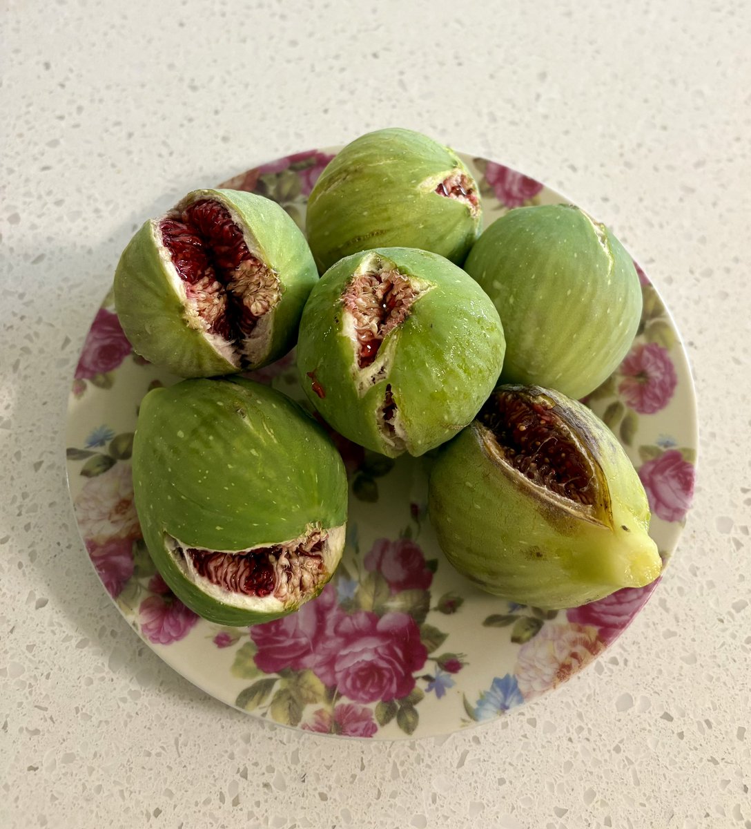 slitney ☦️ tweet media