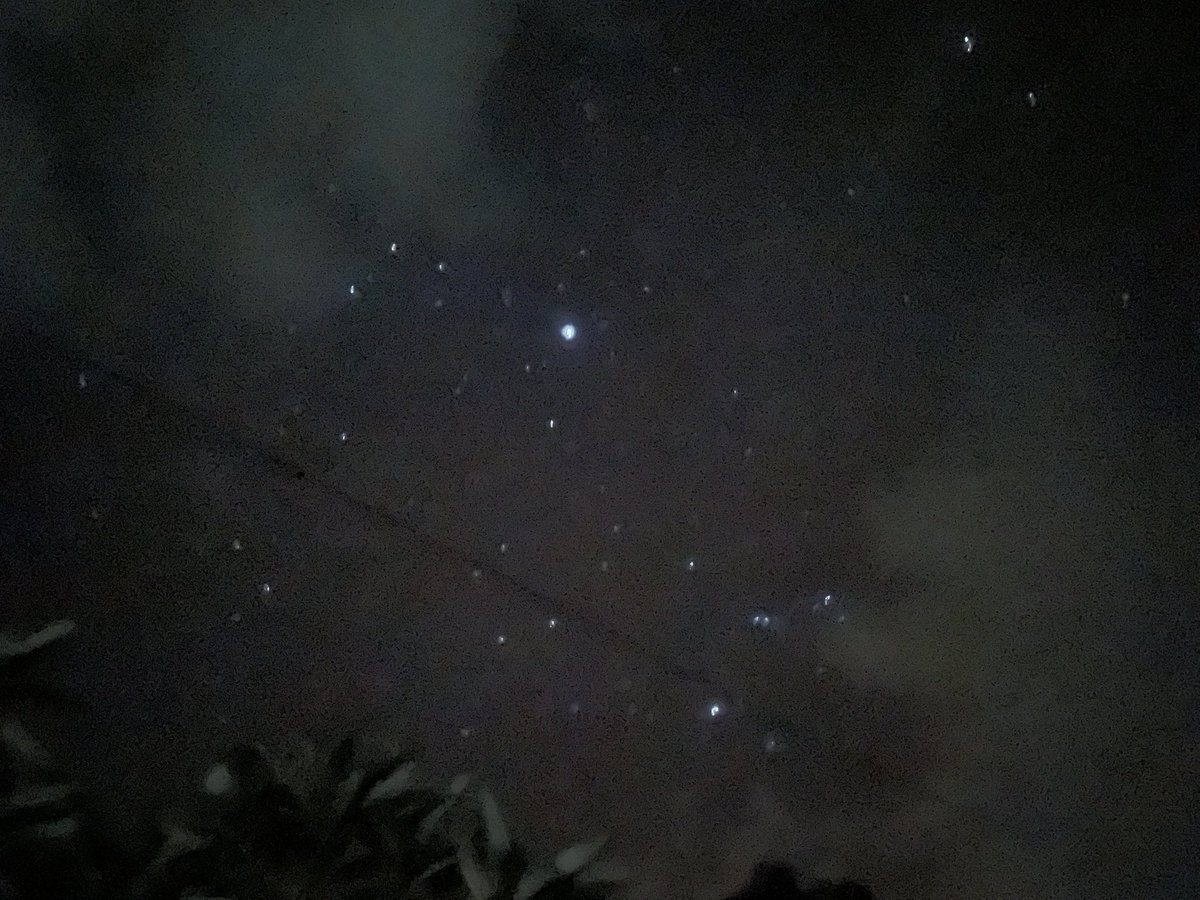 dayy🐧 tweet media