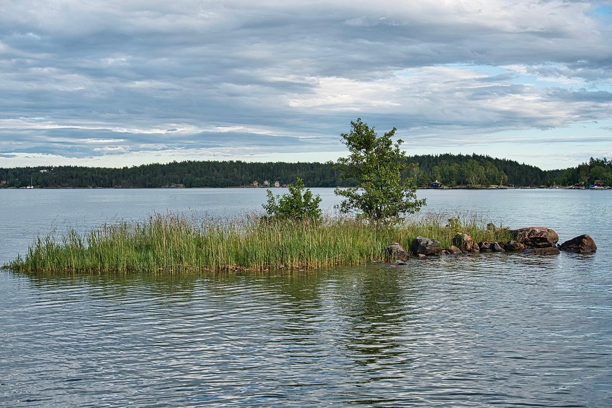 พริกไม่ได้แค่เผ็ด แต่เด็ดมาก🌶️💦 tweet media