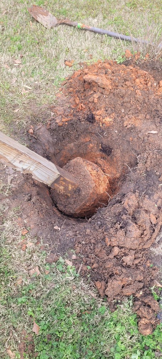 PepperMan tweet media