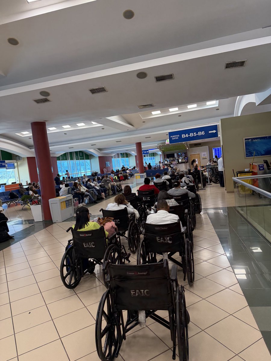 Bold Perceptions Podcast tweet media