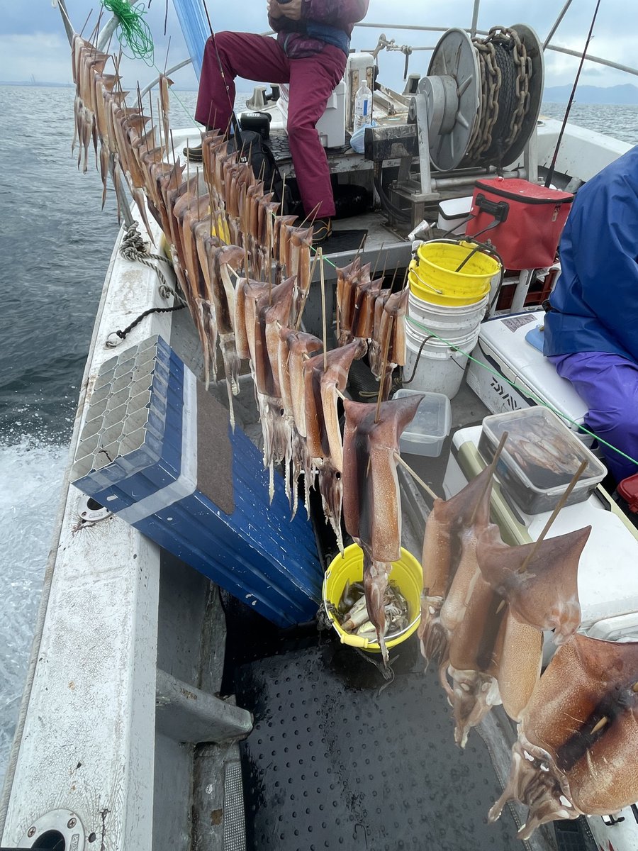 Dr.なおき tweet media