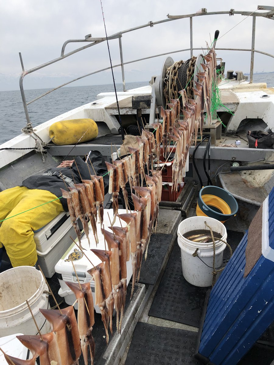 Dr.なおき tweet media