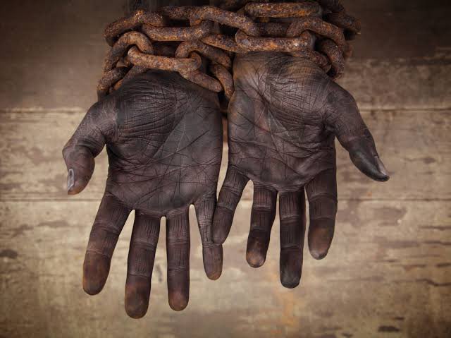 Zoom Afrika tweet media