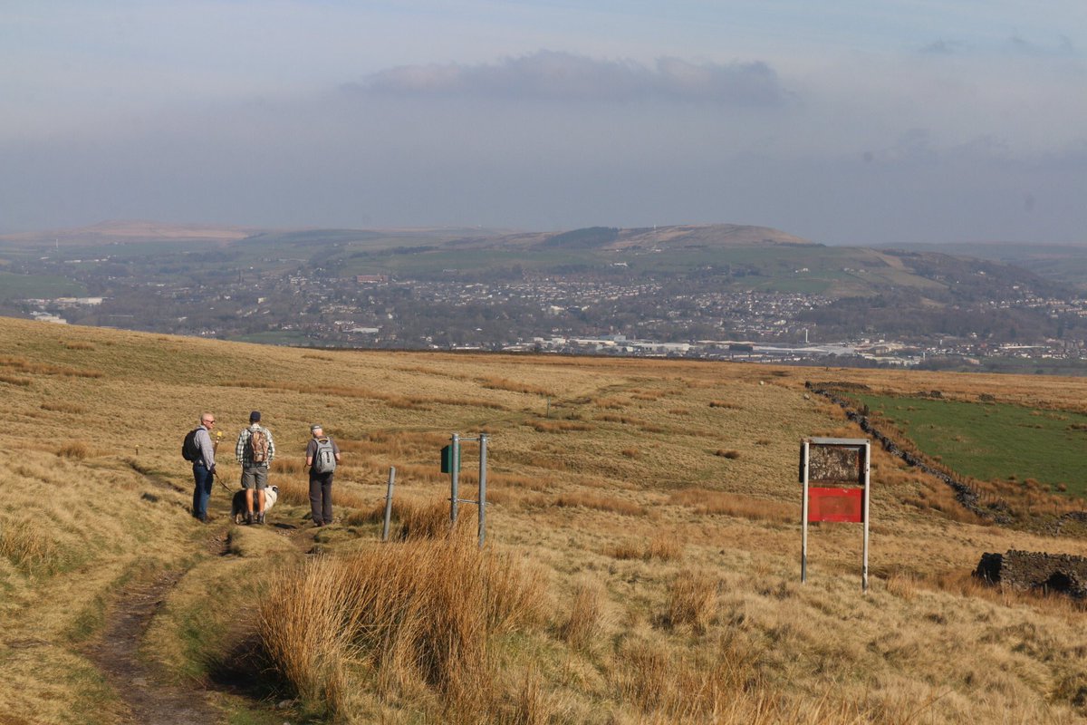 MAW Holmes tweet media