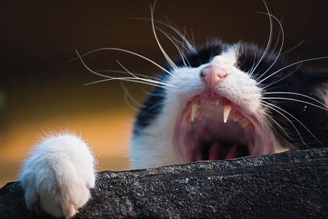 James Miles tweet media