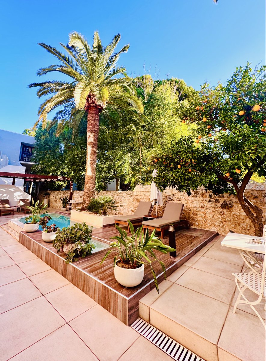 Greek Goes Keto tweet media