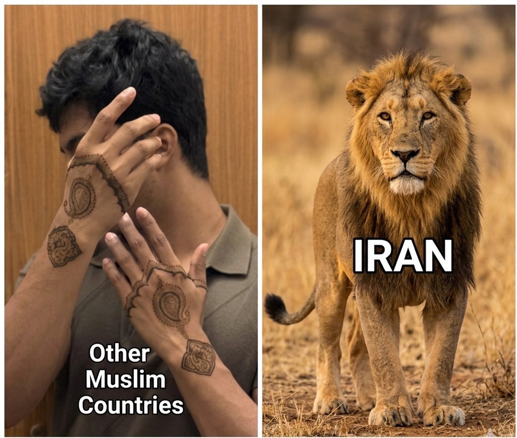 Aamir Bangash (FK) tweet media