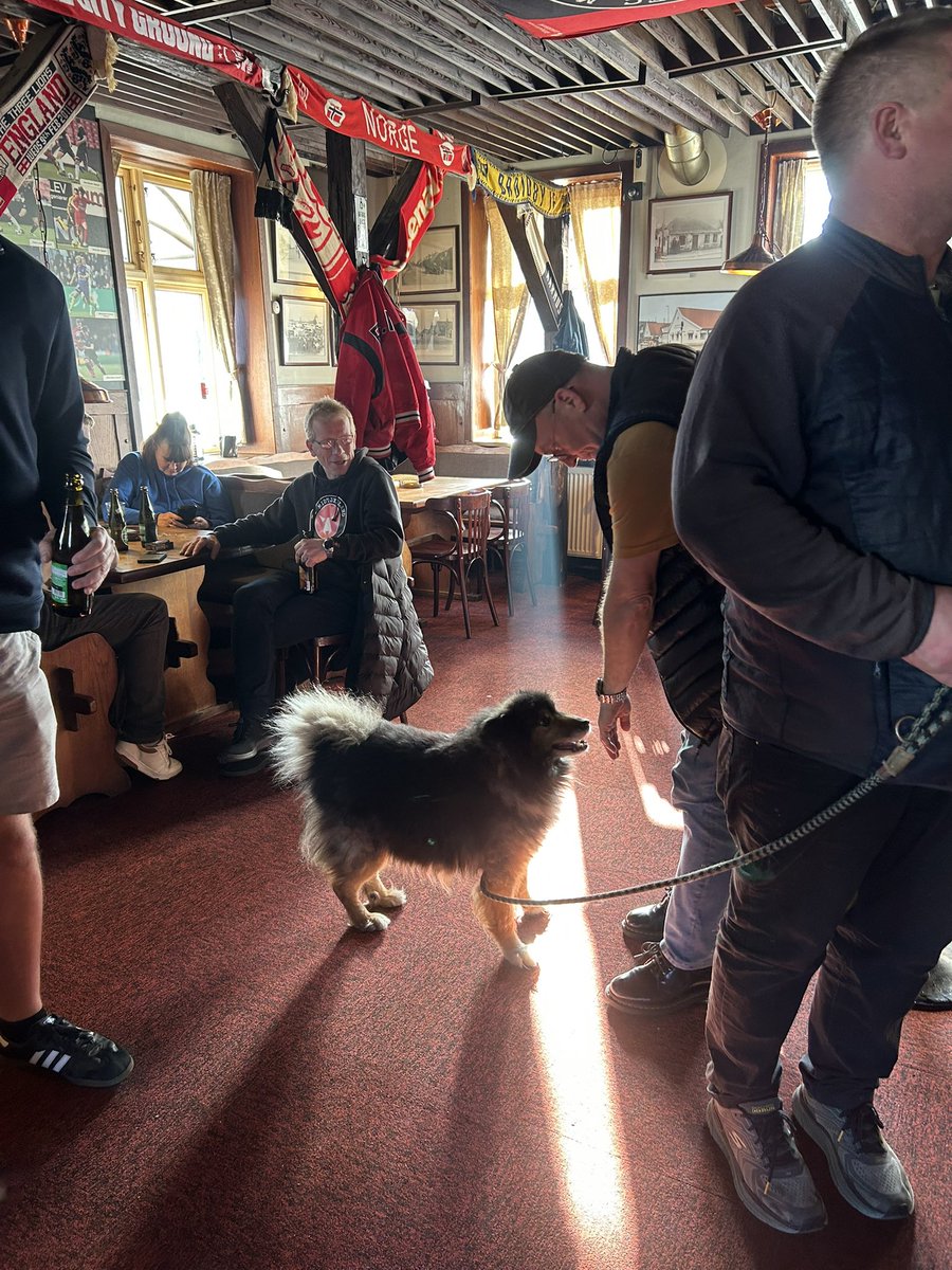 Harv 🌳 tweet media