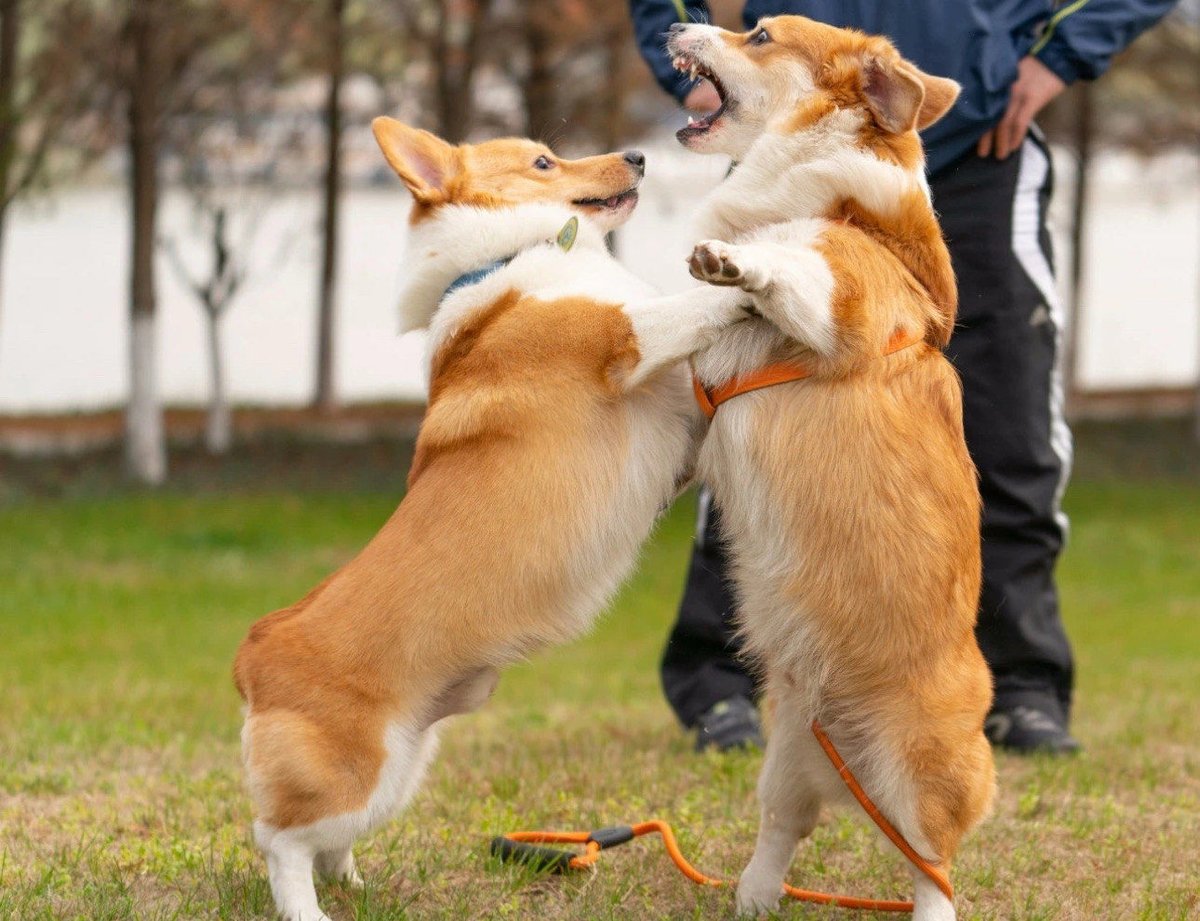 Guillous Mathilde tweet media