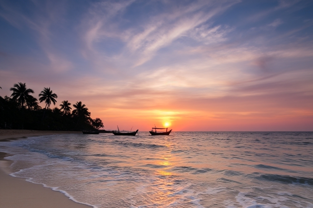 Daniel Levant tweet media