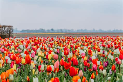 USGrant47 tweet media