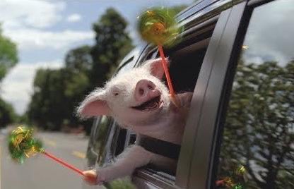 Cole Adams tweet media