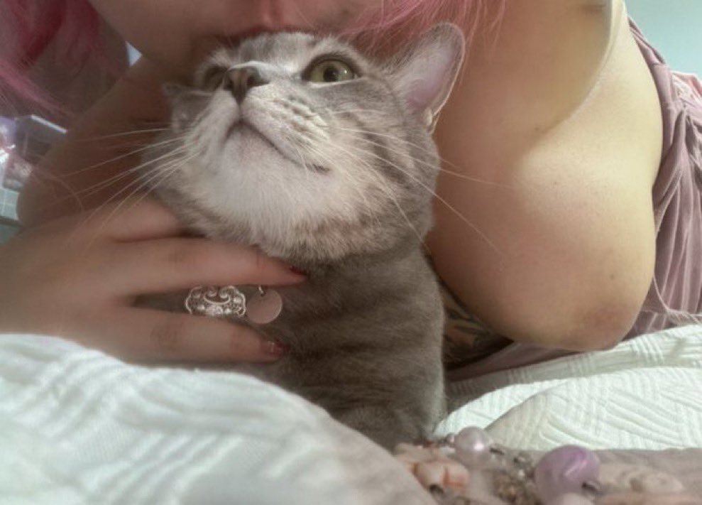 🅿️inche🅱️rady 𝕏 👻 tweet media