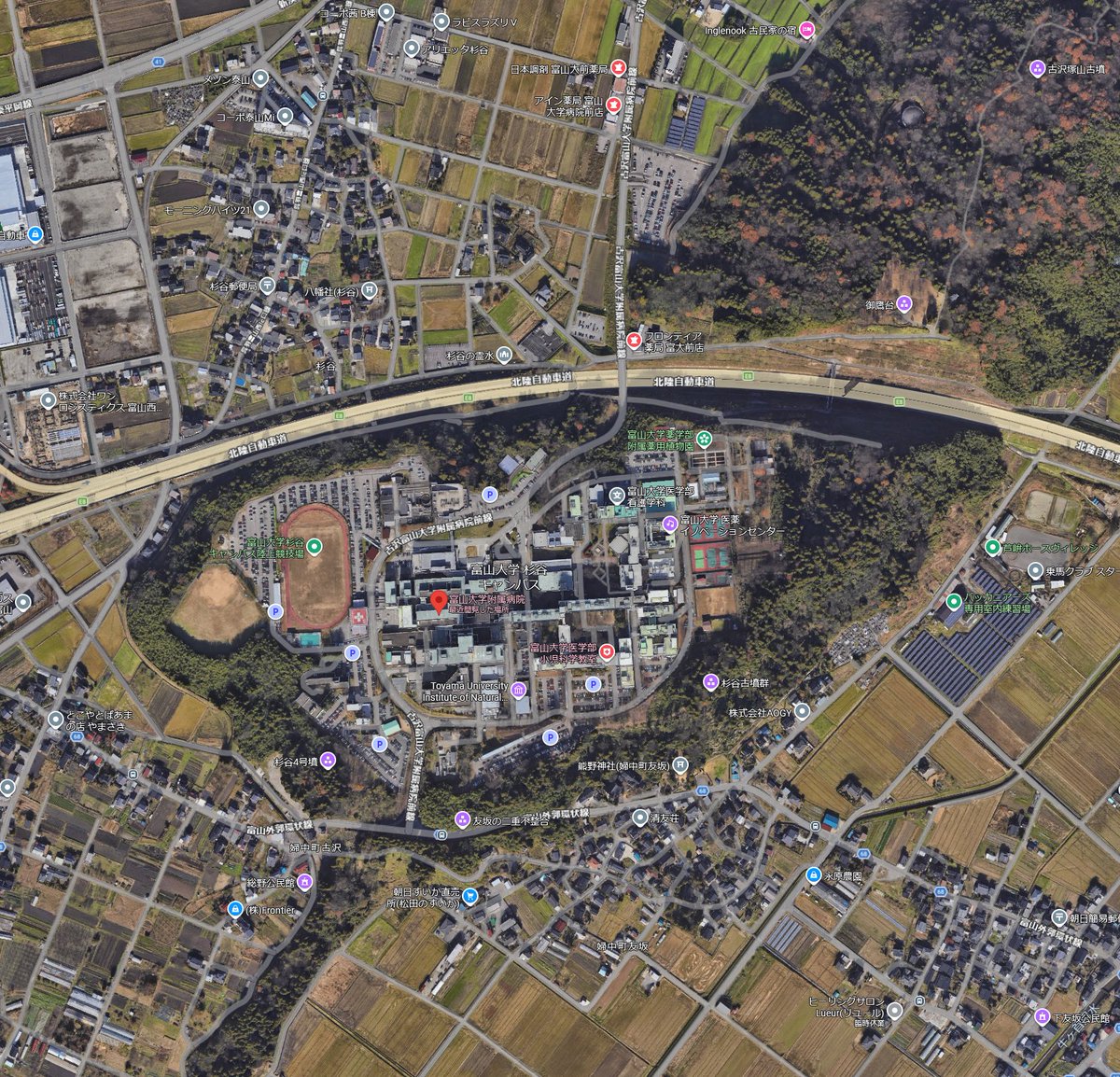 ラプラスの間 tweet media