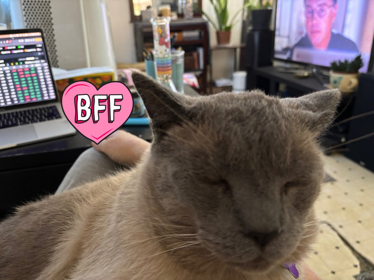 Vara 💎 tweet media