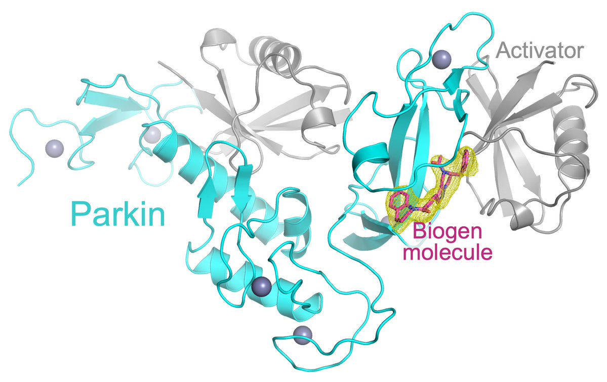 CanadianLightSource tweet media