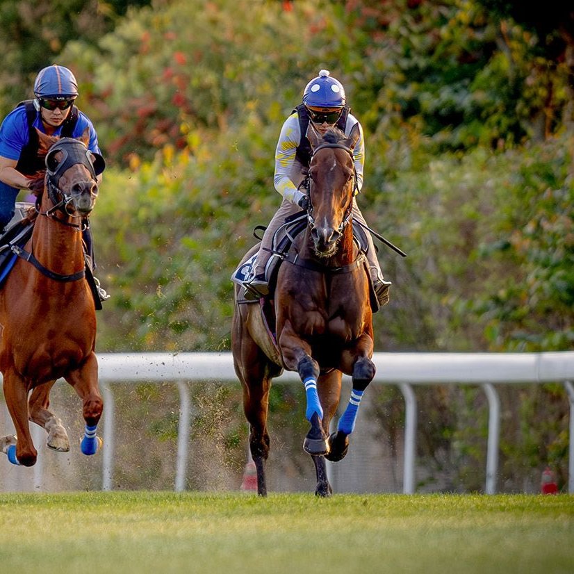 Hong Kong Racing tweet media