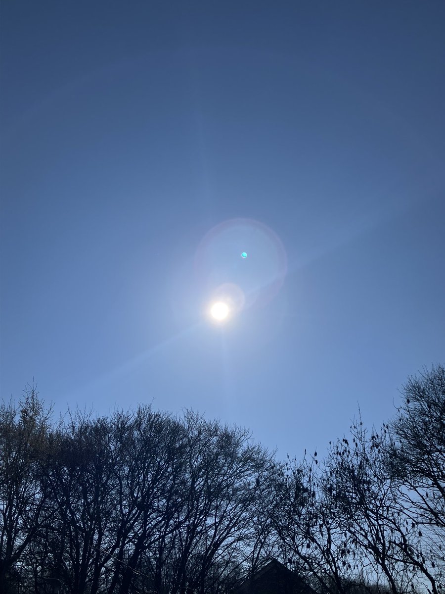 M Eternal Spirit 🌹 tweet media