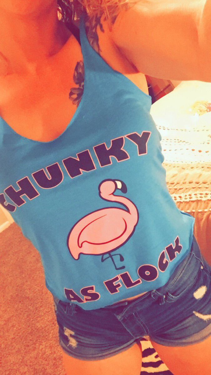 🦩 Chunky Flamingo Apparel 🦩 tweet media